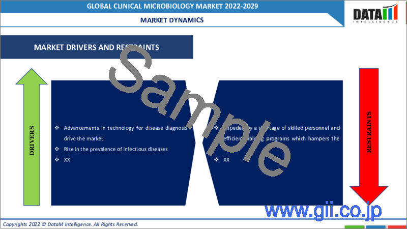 サンプル2：臨床マイクロバイオロジーの世界市場-2022-2029