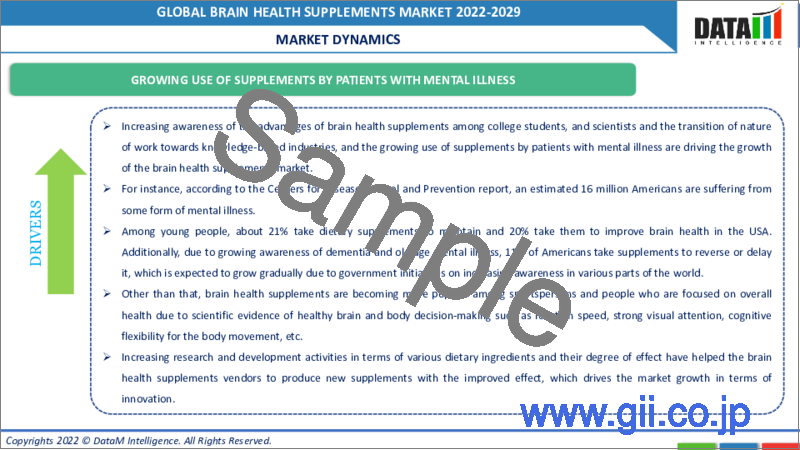 サンプル2：ブレインヘルスサプリメントの世界市場-2022-2029