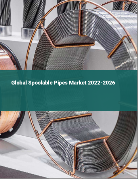 表紙：スプーラブルパイプの世界市場 2022-2026