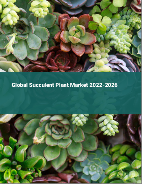 表紙：多肉植物の世界市場 2022-2026