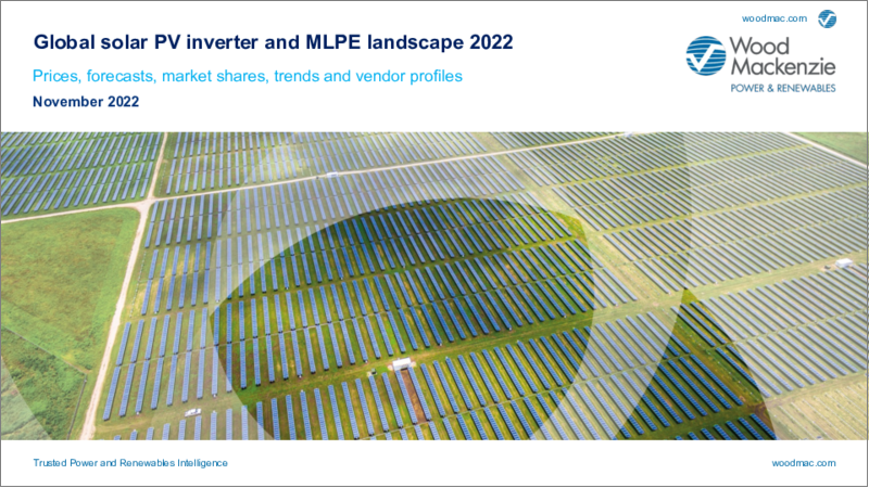 表紙：ソーラーPV（太陽光発電）インバーター・MLPEの世界市場の情勢（2022年）：価格、予測、市場シェア、動向、ベンダープロファイル