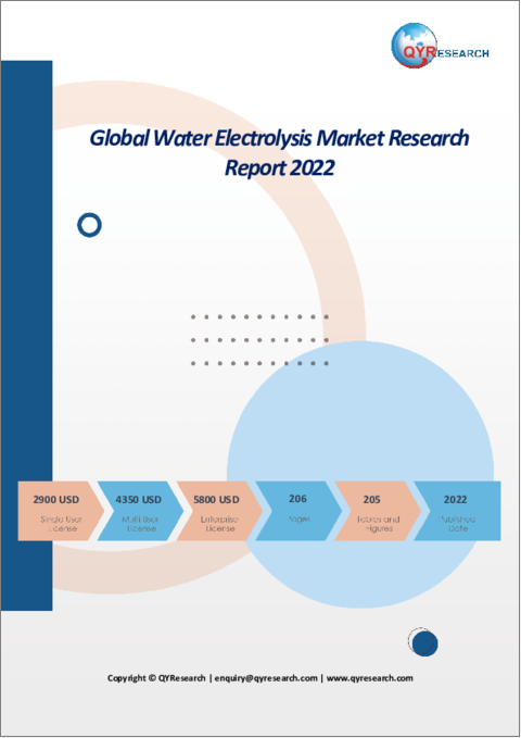 表紙：水電解の世界市場の分析 (2022年)