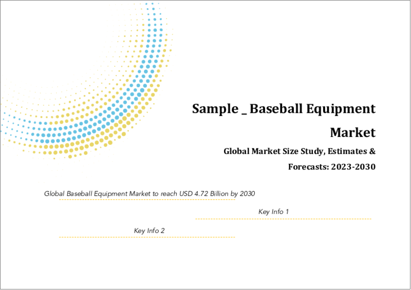 表紙：野球用品の世界市場規模調査＆予測、製品別（バット、ヘルメット、グローブ、用具袋、アクセサリー）、流通チャネル別（スーパーマーケット／ハイパーマーケット、コンビニエンスストア、オンライン）、地域分析、2022-2029年