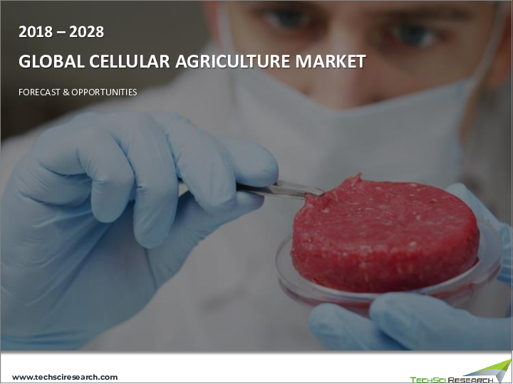 表紙：細胞農業の世界市場 (2017～2027年)：技術・用途・エンドユーザー産業・地域別の産業規模・シェア・動向・機会・予測