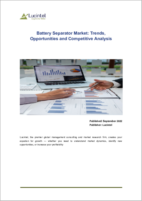 表紙：バッテリーセパレーター市場：動向、機会および競合分析