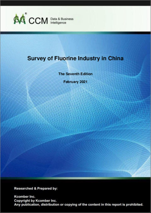 表紙：中国のフッ素産業の分析 (2021年)