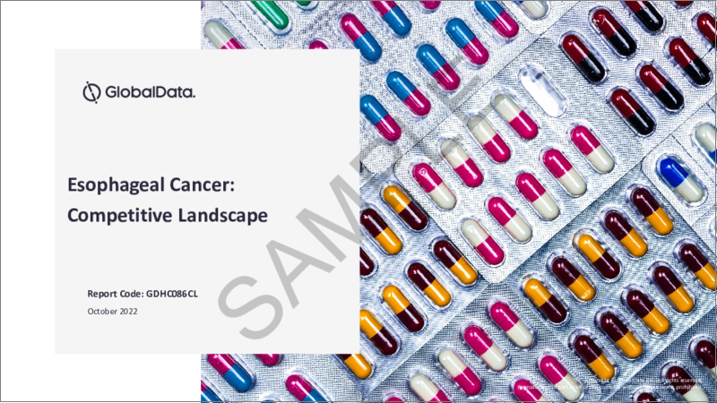 表紙：食道がんの世界市場：上市済み薬品とパイプライン薬品の評価、臨床試験、競合情勢