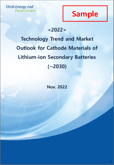 表紙：正極材料の技術現状と市場展望（～2030年）