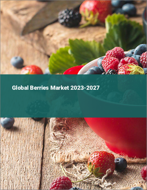 表紙：ベリー類の世界市場 2023-2027