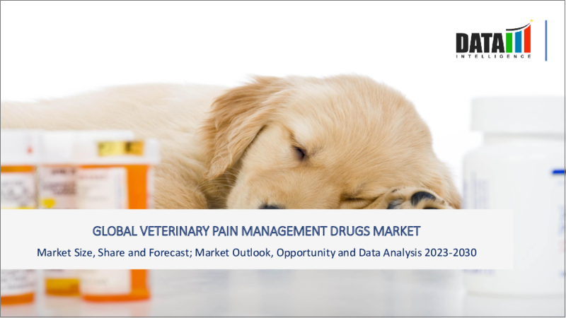 表紙：獣医用疼痛管理薬の世界市場-2022-2029