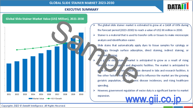 サンプル2：スライドステイナーの世界市場-2022-2029