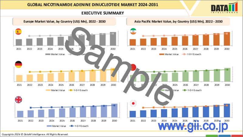 サンプル2：ニコチンアミドアデニンジヌクレオチドの世界市場-2022-2029