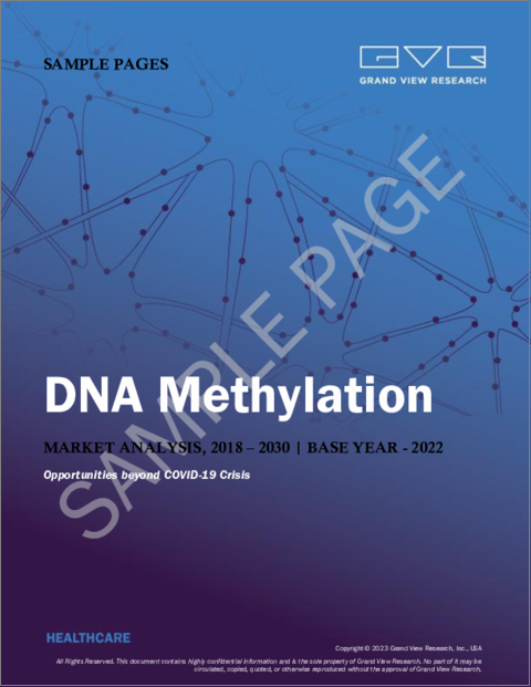 表紙：DNAメチル化の市場規模、シェア、動向分析レポート：技術別（PCR、マイクロアレイ、シーケンス）、用途別（遺伝子治療、診断）、製品別、最終用途別、地域別、およびセグメント別予測、2022年～2030年