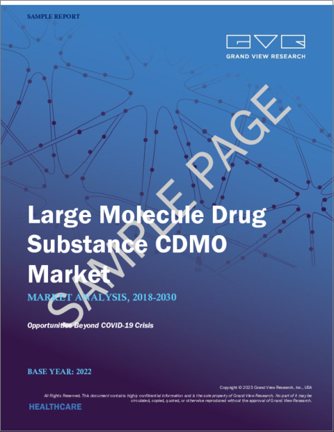 表紙：高分子医薬品原薬CDMOの市場規模、シェア、動向分析レポート：サービス別（受託製造、受託開発）、供給元別、エンドユーザー別、地域別、セグメント別予測、2023年～2030年