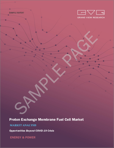 表紙：プロトン交換膜燃料電池 (PEMFC) の市場規模・シェア・動向分析 (2022-2030年)：タイプ (高温・低温)・材料 (膜電極アセンブリー・ハードウェア)・用途・地域別