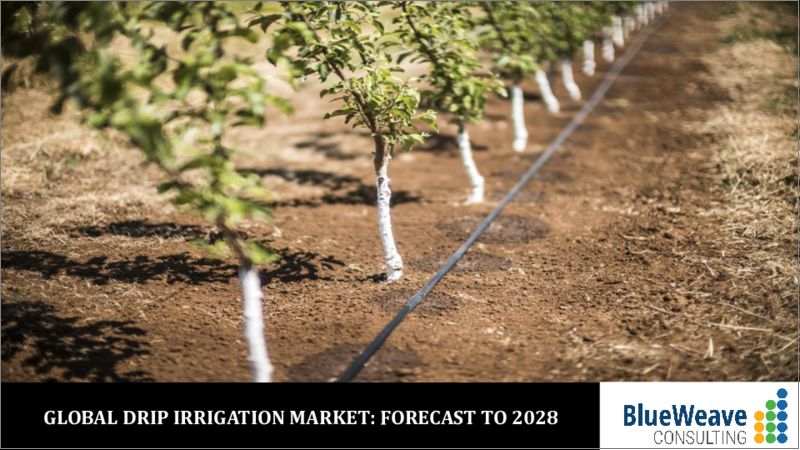 表紙：点滴灌漑の世界市場：市場規模、市場シェア、動向分析、機会、予測：コンポーネント別、作物タイプ別、用途別、地域別（2018年～2028年）