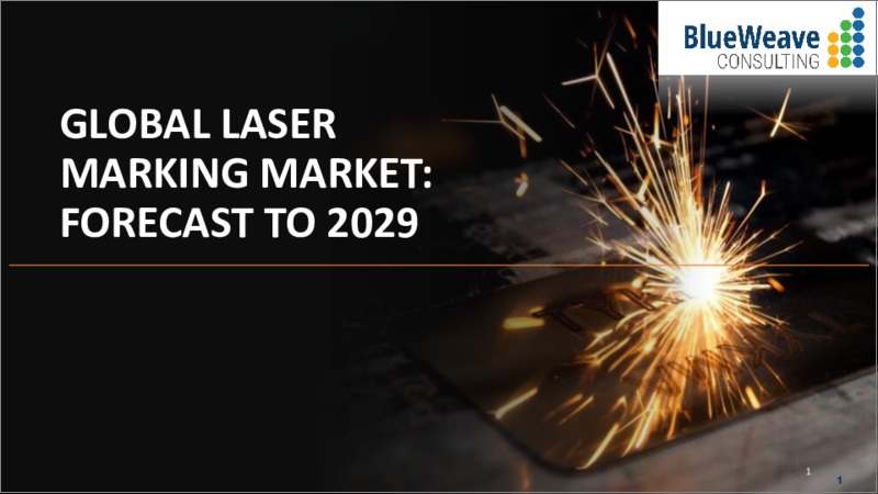 表紙：レーザーマーキングの世界市場：市場規模、市場シェア、動向分析、機会、予測：レーザータイプ別、オファリング別、エンドユーザー別、地域別（2022年～2028年）