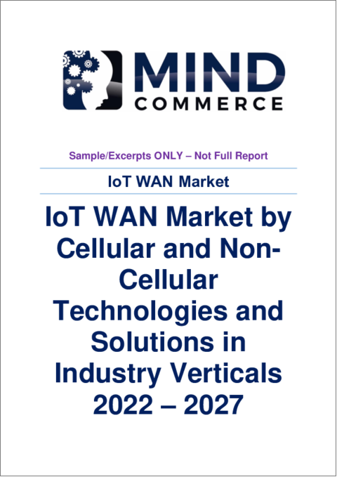 表紙：IoT WANの世界市場：セルラー系・非セルラー系技術とソリューション、業種別 (2022年～2027年)