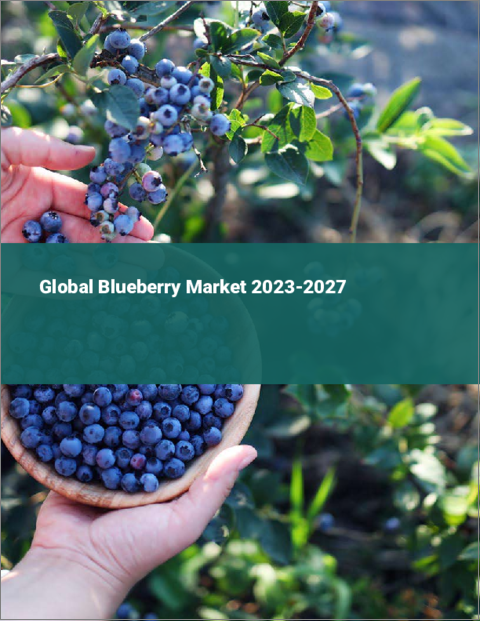 表紙：ブルーベリーの世界市場 2023-2027