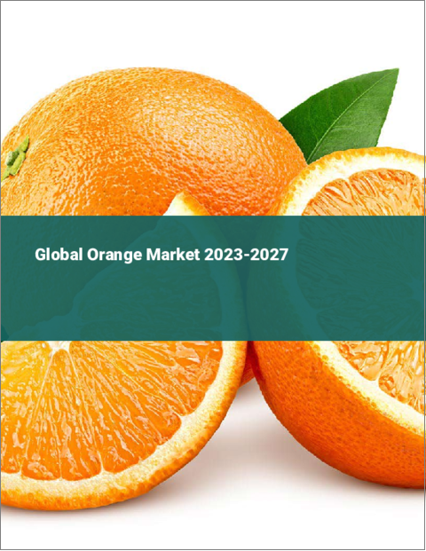 表紙：オレンジの世界市場 2023-2027