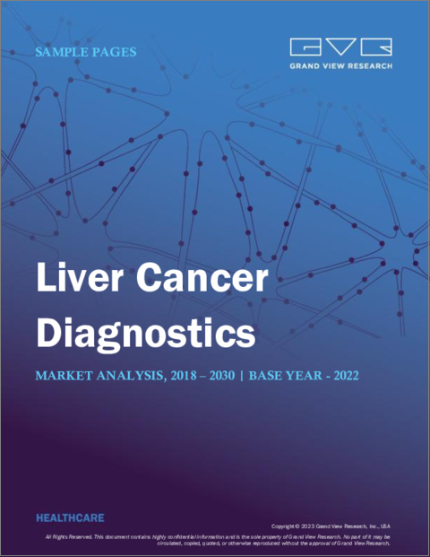 表紙：肝臓がん診断の市場規模、シェア、動向分析レポート：検査タイプ別（ラボラトリーテスト、イメージング、内視鏡、生検）、エンドユース別、地域別、セグメント別予測、2023年～2030年