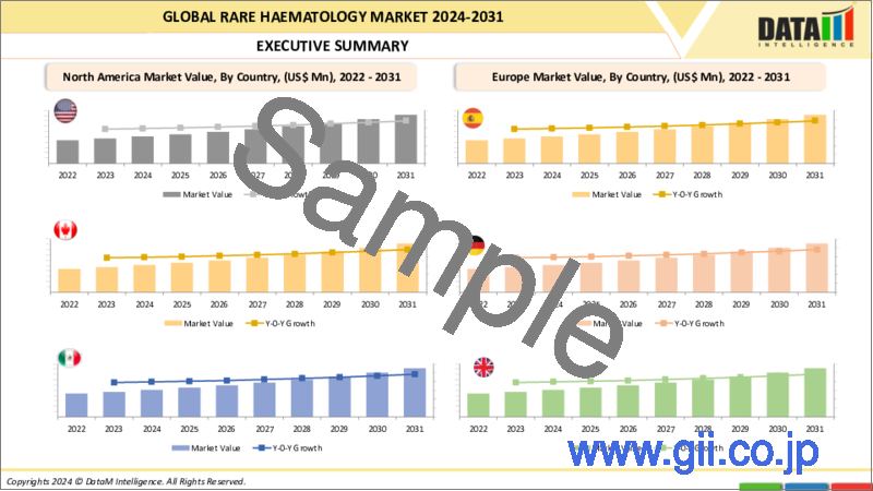 サンプル2：希少血液疾患の世界市場-2023-2030