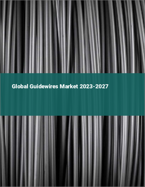 表紙：ガイドワイヤーの世界市場 2023-2027