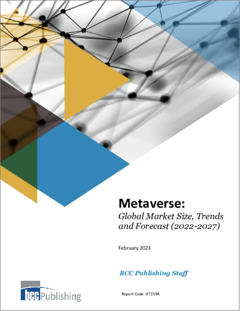 表紙：メタバース：世界の市場規模・動向・予測 (2022-2027年)