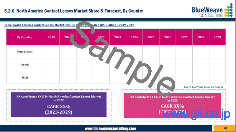 サンプル2：コンタクトレンズの世界市場 - 市場規模、シェア、動向分析、機会、予測：製品別、デザインタイプ別、用途別、材料別、流通チャネル別、地域別（2019年～2029年）