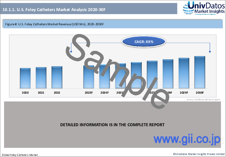 サンプル2：フォーリーカテーテル市場：現状分析・予測 (2022年～2028年)