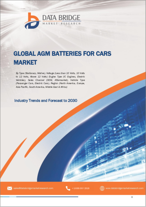 表紙：自動車用AGMバッテリーの世界市場：業界動向と予測（～2030年）