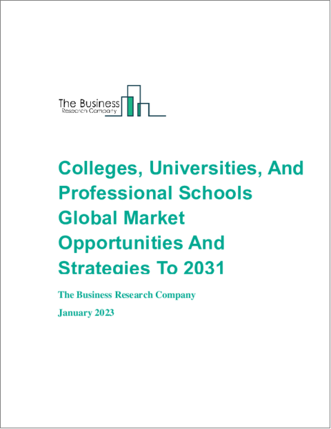 表紙：大学・専門学校の世界市場の機会と戦略（2031年まで）