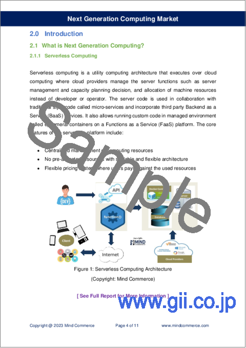 サンプル1：次世代コンピューティングの世界市場 (2023年～2028年)：バイオコンピューティング・ブレインコンピュータインターフェイス・HPC・ナノコンピューティング・ニューロモーフィックコンピューティング・サーバーレスコンピューティング・スウォームコンピューティング・量子コンピューティング