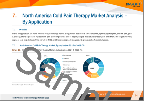 サンプル2：北米の冷痛療法市場の2028年までの予測-アプリケーション、オファリング、エンドユーザー別の地域別分析