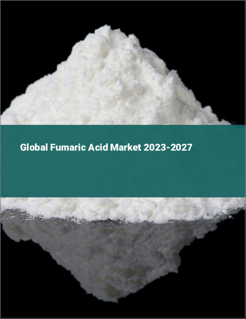 表紙：フマル酸の世界市場 2023-2027年