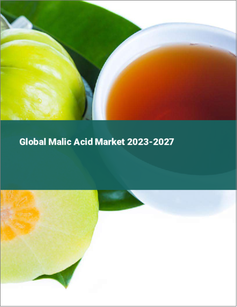 表紙：リンゴ酸の世界市場 2023-2027