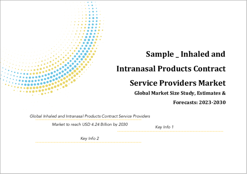 表紙：吸入・経鼻製品受託サービスプロバイダーの世界市場規模調査・予測：製品別、サービス別、地域別分析、2022-2029年