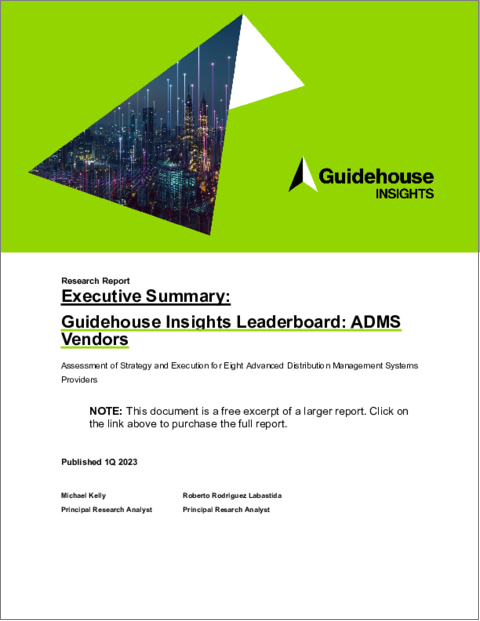 表紙：ADMSベンダー：先進的流通管理システムプロバイダー8社の戦略と実行力の評価