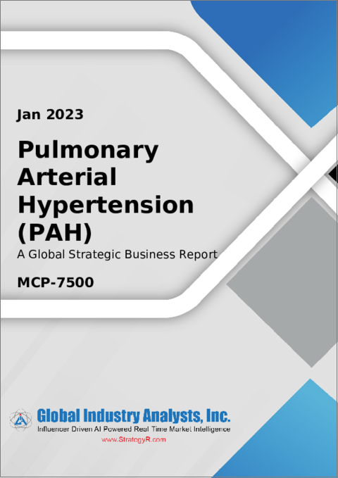 表紙：肺動脈性肺高血圧症（PAH）の世界市場