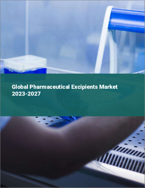表紙：医薬品添加剤の世界市場 2023-2027