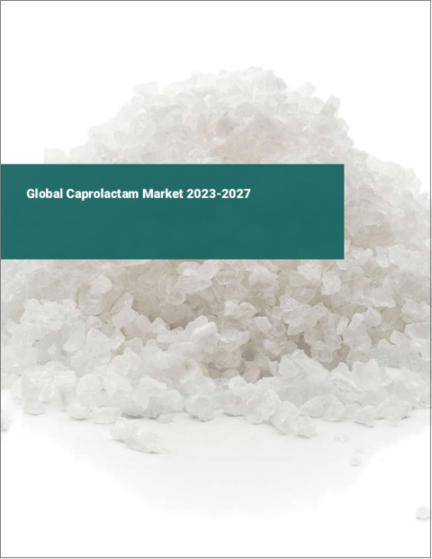 表紙：カプロラクタムの世界市場 2023-2027
