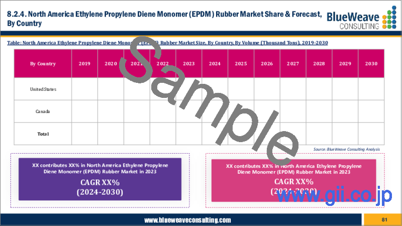 サンプル2：エチレンプロピレンジエンモノマー（EPDM）ゴムの世界市場：市場規模、市場シェア、動向分析、機会、予測：タイプ別、用途別、エンドユーザー別、地域別（2019年～2029年）