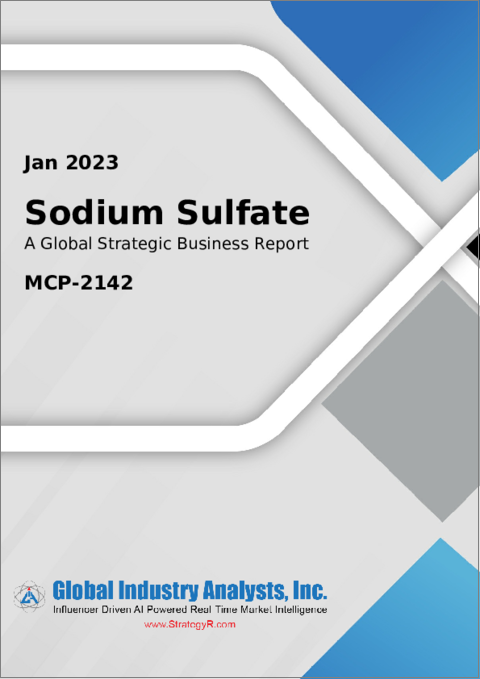 表紙：硫酸ナトリウムの世界市場 2023