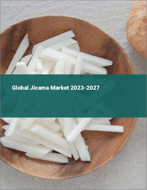 表紙：世界のヒカマ市場2023-2027
