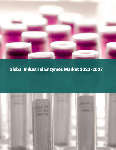 表紙：工業用酵素の世界市場 2023-2027