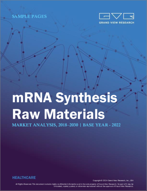 表紙：mRNA合成材料の市場規模、シェア、動向分析レポート：タイプ別（キャッピング剤、ヌクレオチド、プラスミドDNA）、アプリケーション別、最終用途別、地域別、セグメント別予測、2023年～2030年