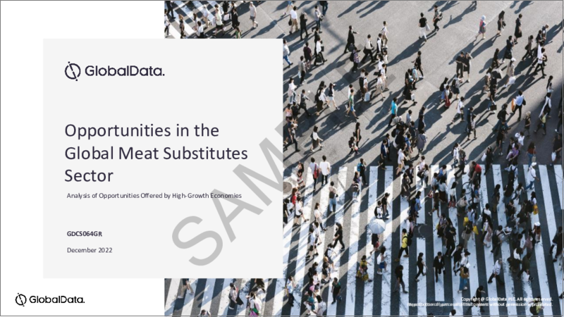 表紙：代用肉市場：規模、競合情勢、国別分析、流通チャネル、包装形態、予測、2016年～2026年