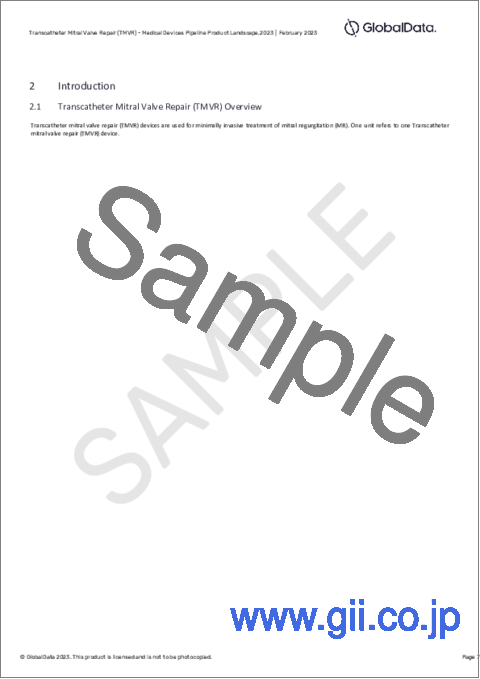 サンプル1：経カテーテル僧帽弁修復 (TMVR) のパイプラインレポート (2023年最新版)：開発段階・セグメント・地域および国・規制経路・主要企業別