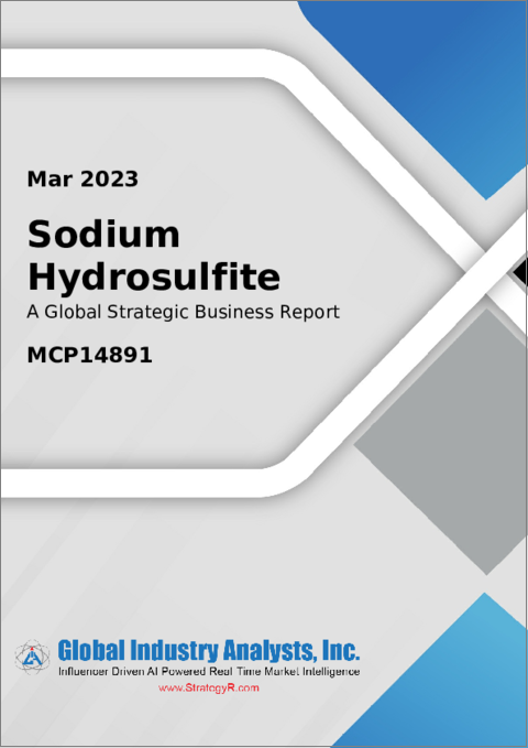 表紙：ハイドロサルファイトナトリウムの世界市場
