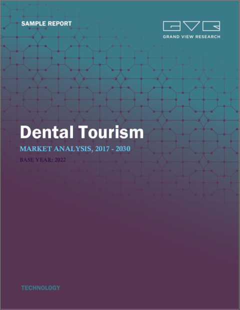 表紙：デンタルツーリズムの市場規模、シェア、動向分析レポート：サービス別（歯科インプラント、歯科矯正）、プロバイダー別（病院、歯科医院）、地域別（欧州、北米、アジア太平洋）、セグメント別予測、2023年～2030年